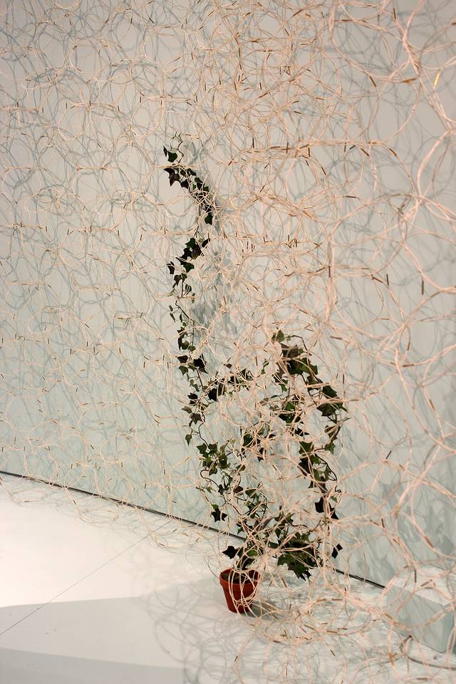 纽约现代艺术博物馆