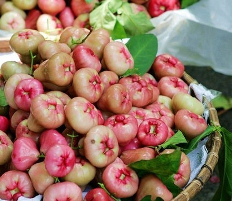 三亚旅游攻略之美食篇海鲜