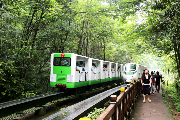 gdp增速_2018张家界gdp(3)