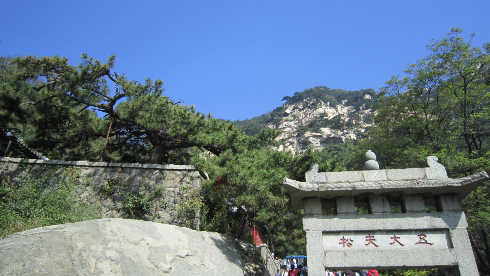 2022五大夫松游玩攻略,据说当年秦始皇封泰山下来到. 【去哪儿攻略】