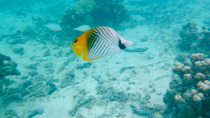 2017军舰岛,距离塞班岛10分钟的船程_军舰岛