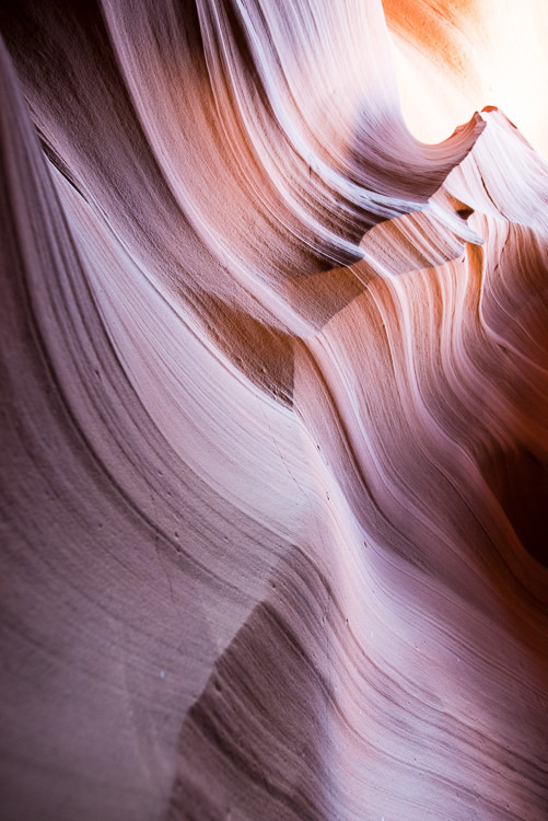 拉布雷亚沥青坑