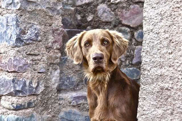 挂在天上的村庄图片