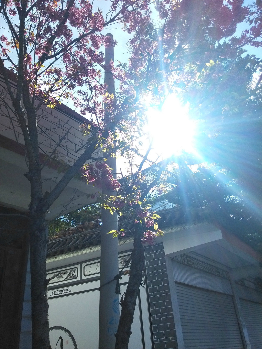 一个人的“浪漫”---环洱海骑行惊险记