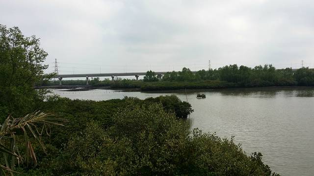 广东湛江红树林国家级自然保护区