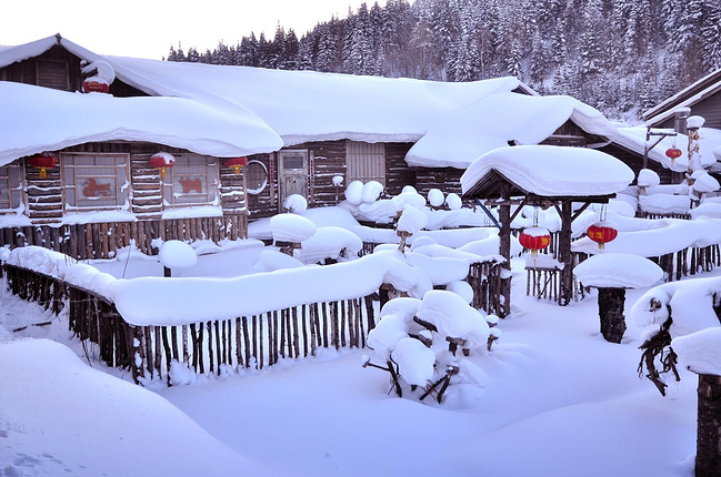雪乡旅游相册,雪乡旅游,雪乡旅游略_大山谷图库