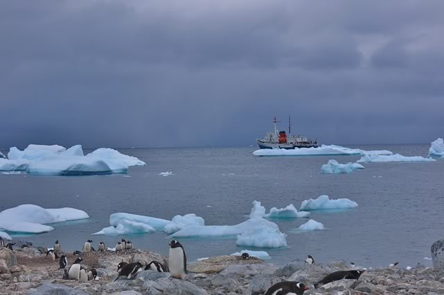 库佛维尔岛图片