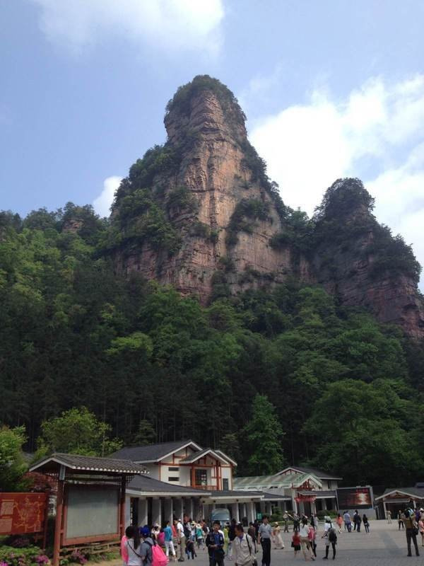 托利莫尔森林公园