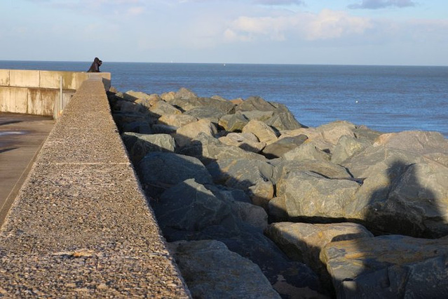 爱尔兰行记之六:bray海湾,溜狗