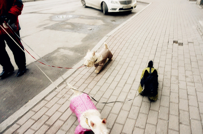 彼得堡罗要塞图片