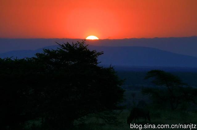 远渡重洋,去肯尼亚消夏避暑看动物