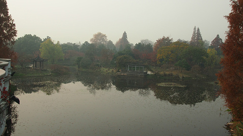 fabfda54f1075f.jpg_r_480x360x95_7b22a258.jpg