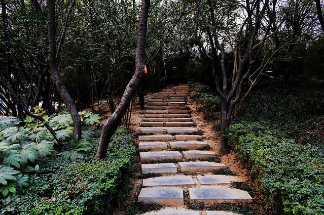 曲江旅游度假区