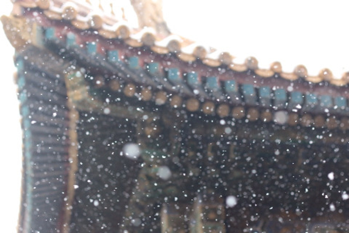 再就是可以前一天晚上在故宫博物院官网预定故