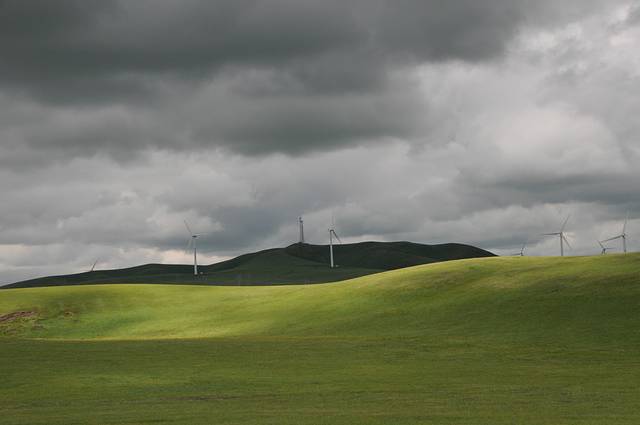 呼伦贝尔草原行