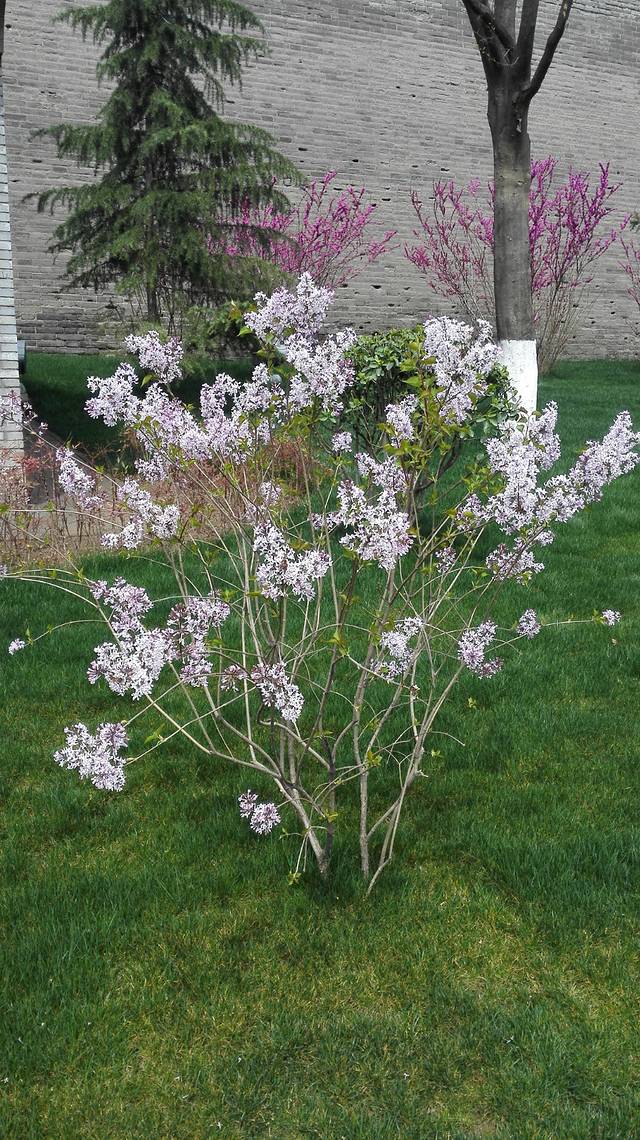 西安城墙环城公园(莲湖路)