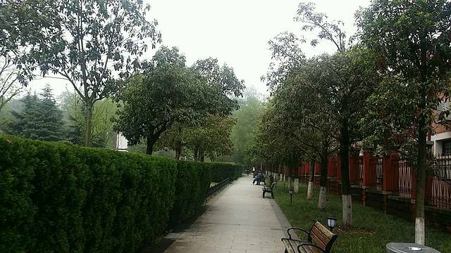 辛亥革命烈士公墓