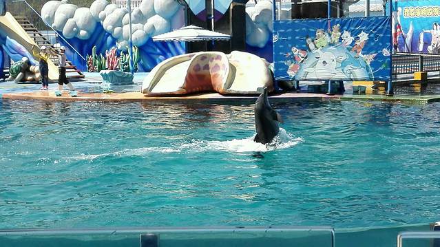 小梅沙海洋世界