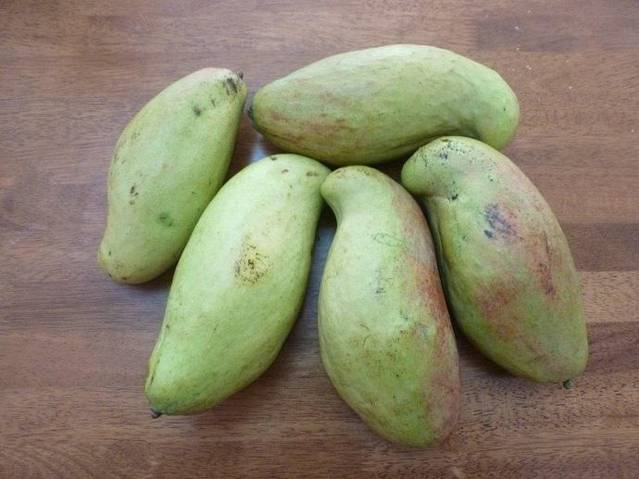 塞舌尔,你本来就很美