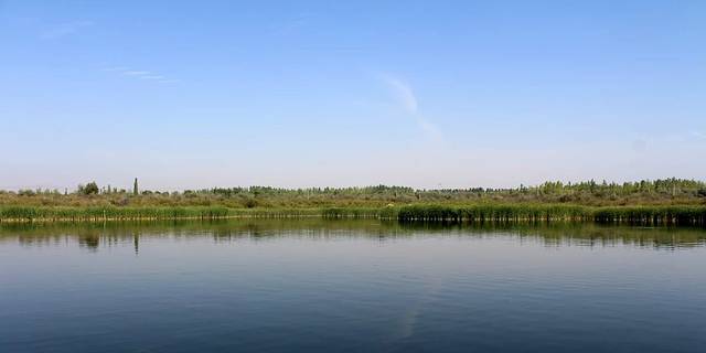 腾格里沙漠湿地