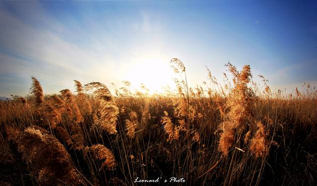 洛东江入海口生态中心