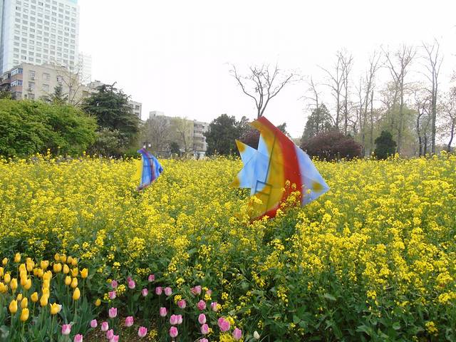 郑州市人民公园