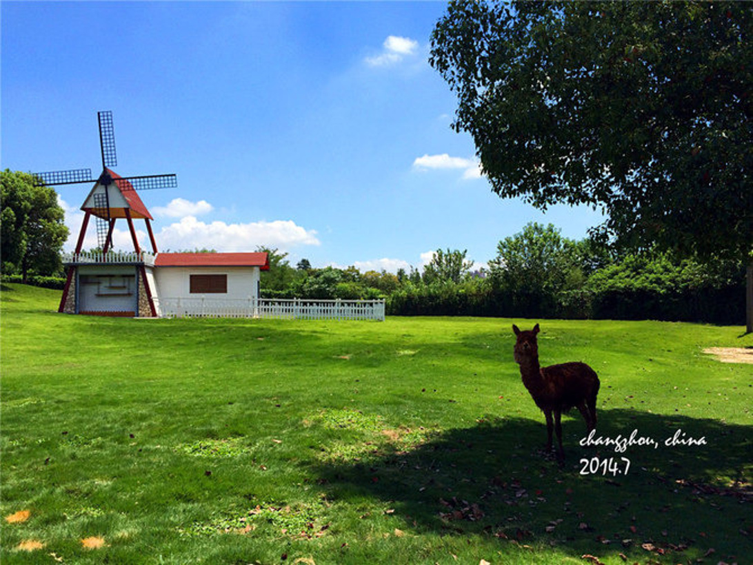 江苏亲子短途游