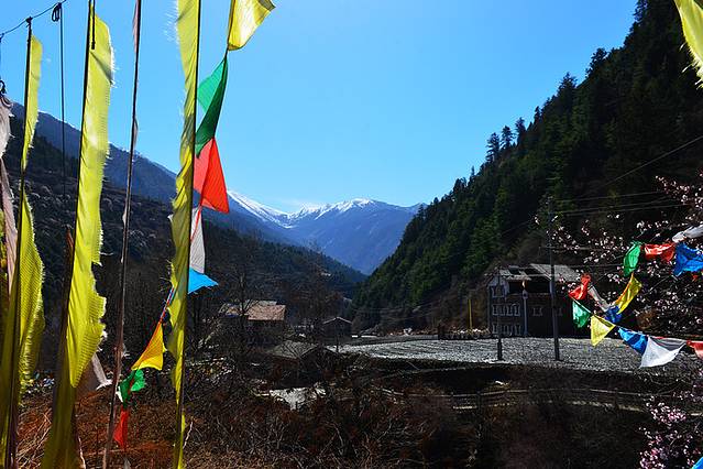 米亚罗自然保护区-八角碉藏寨