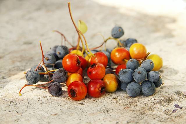 一路向西去新疆