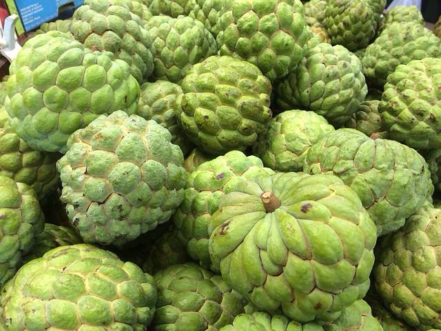 双流国家森林游乐区