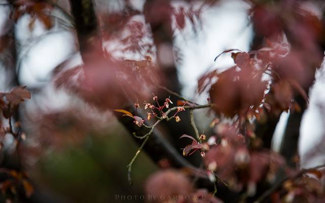 钟山风景区紫霞湖