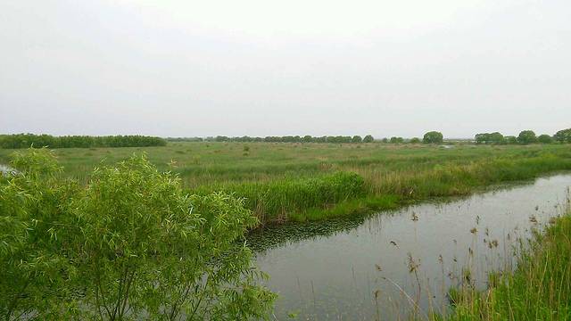 焦岗湖国家湿地公园