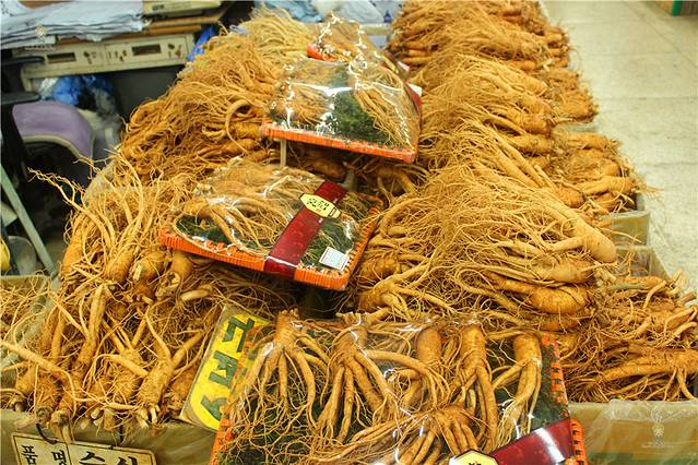 江华岛人参中心