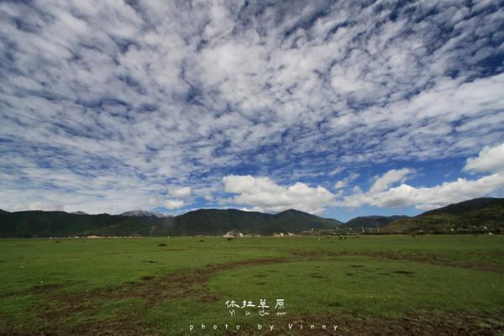 香格里拉小中甸草场伊拉草原