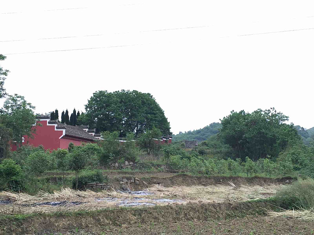 "知名度实在是太低了，遵义不只是红色旅游，很多人文内涵的景点还没有得到推广和宣传，比如这里，比如海龙屯_杨粲墓"的评论图片