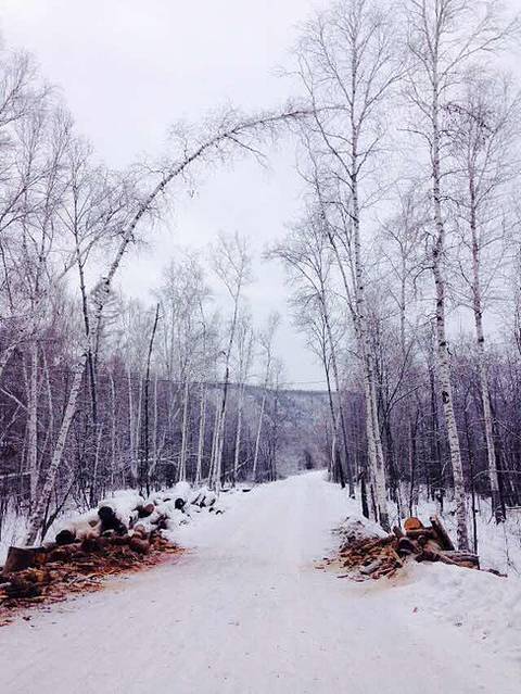 漠河旅游攻略--北极村北红村我们终于来了