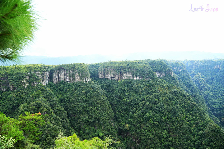 "...天飘降，轻柔，飘忽，无声无息……与雄伟壮阔的悬崖背景，刚柔并济，奇妙地融为一体，真叫人叹为观止_广东大峡谷"的评论图片