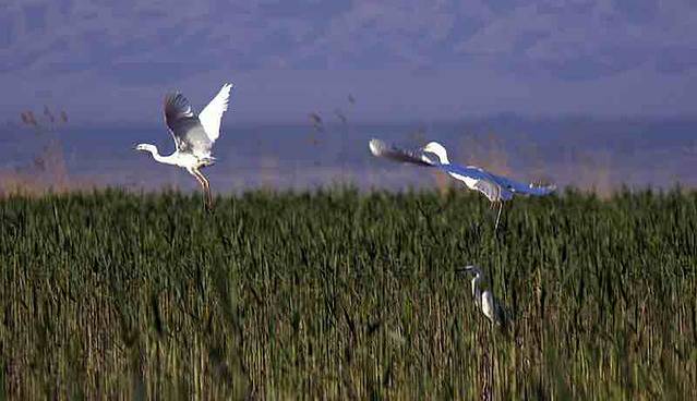 镜湖生态旅游区