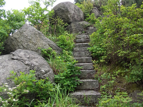 2019掷钵峰_旅游攻略_门票_地址_游记点评,衡山旅游景点推荐 - 去哪儿