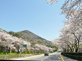 釜山旅游景点攻略图片