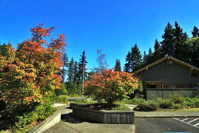 奥林匹克国家公园