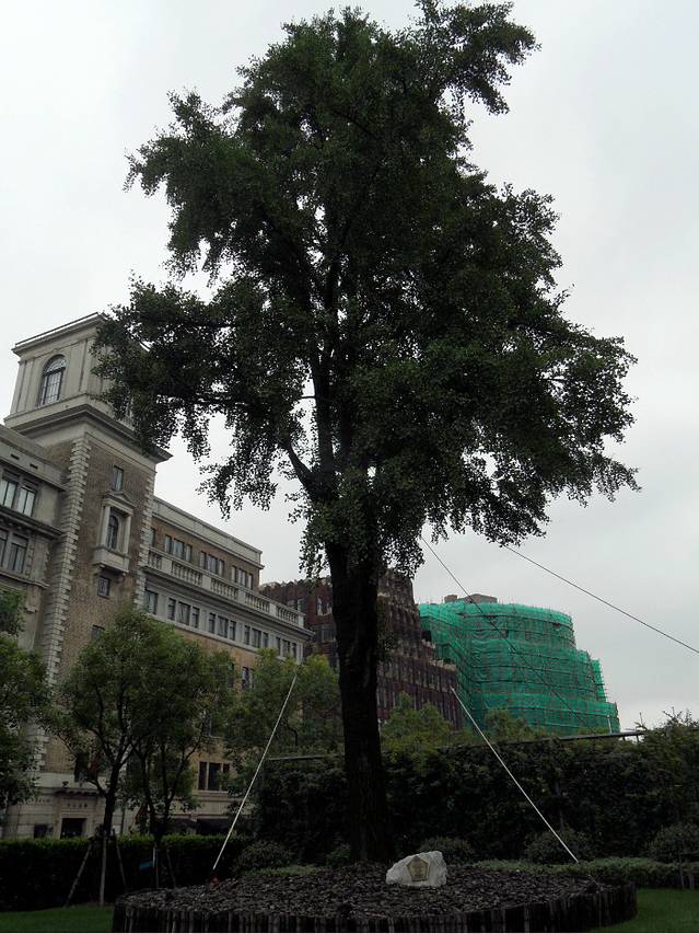 英国驻沪总领事馆