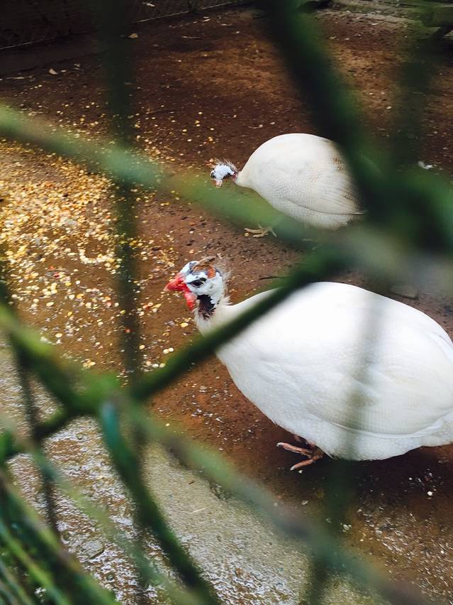 昂纳西贝国家森林公园