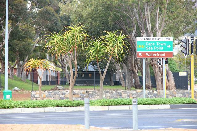 绿点体育场游客中心