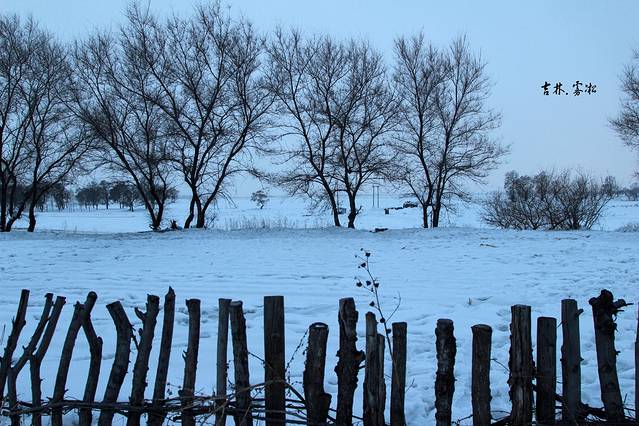 一路向北去看雪