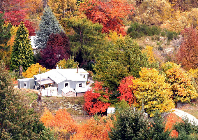 这样一幅美丽的深秋景象将我们心里那一点悲秋之意驱散的无影无踪小镇