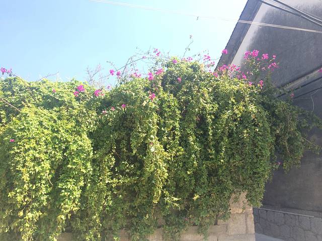 带你走我走过的路--再见云南