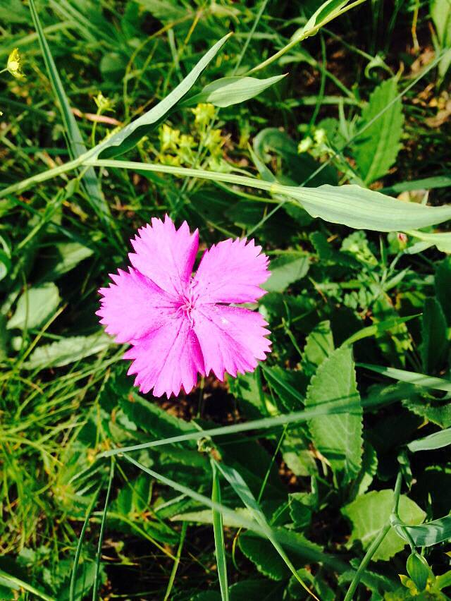 红松洼国家级自然保护区