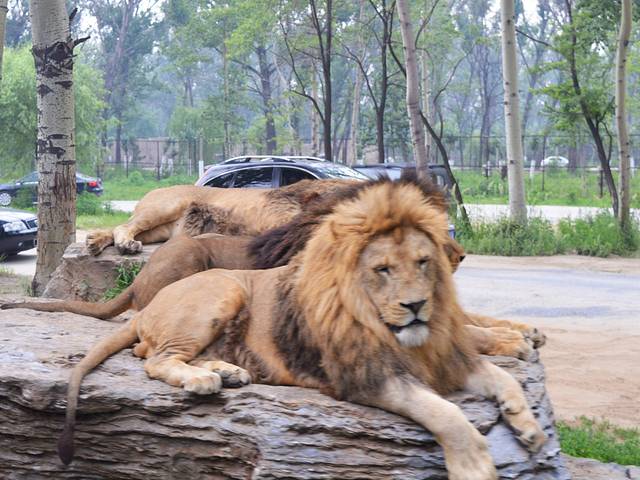 秦皇岛野生动物园