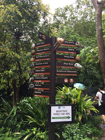 2018到达后,在新加坡动物园门口的售票处,将打